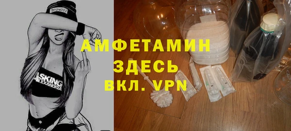 индика Осинники