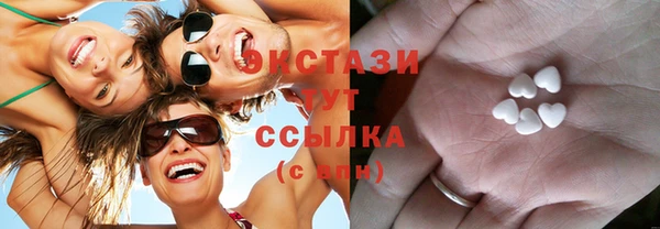 индика Осинники