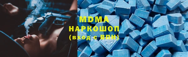 индика Осинники