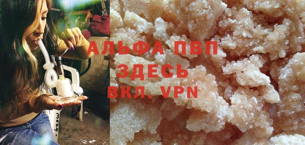 гашик Туринск