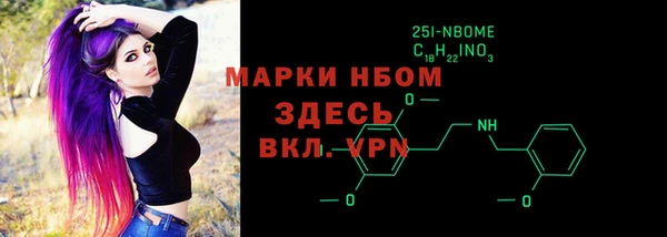 индика Осинники
