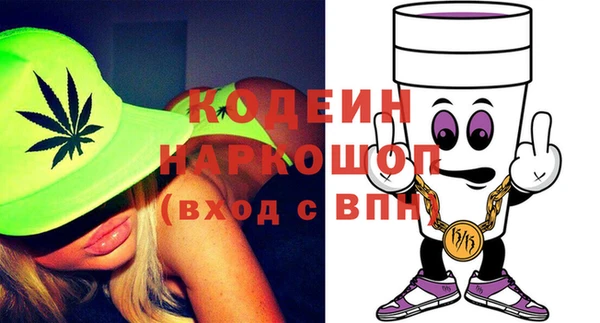 индика Осинники