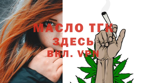 индика Осинники