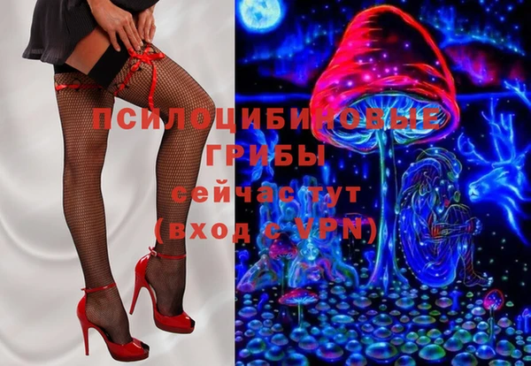 амф Балахна
